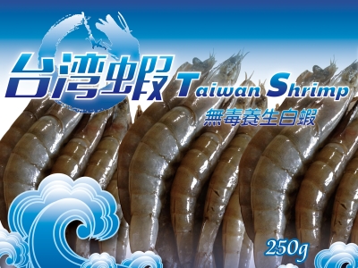 台灣生態無毒白蝦250g