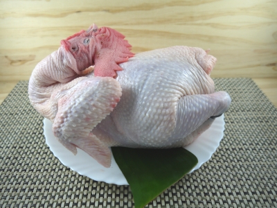 生鮮全母雞1.65kg